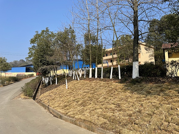 公司环境