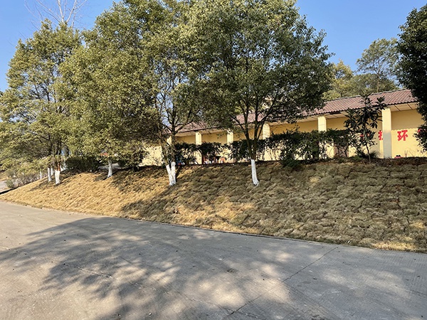 公司环境