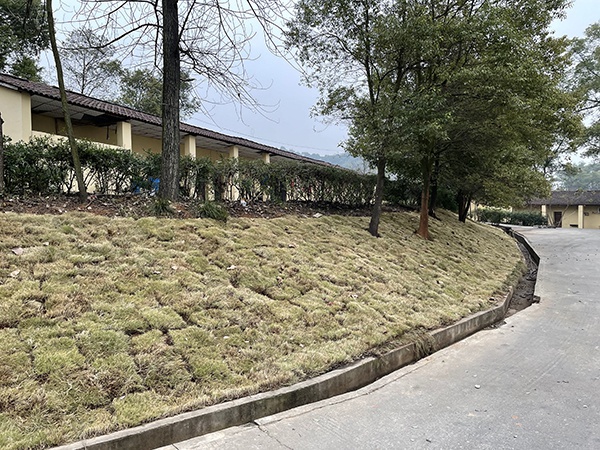 公司环境